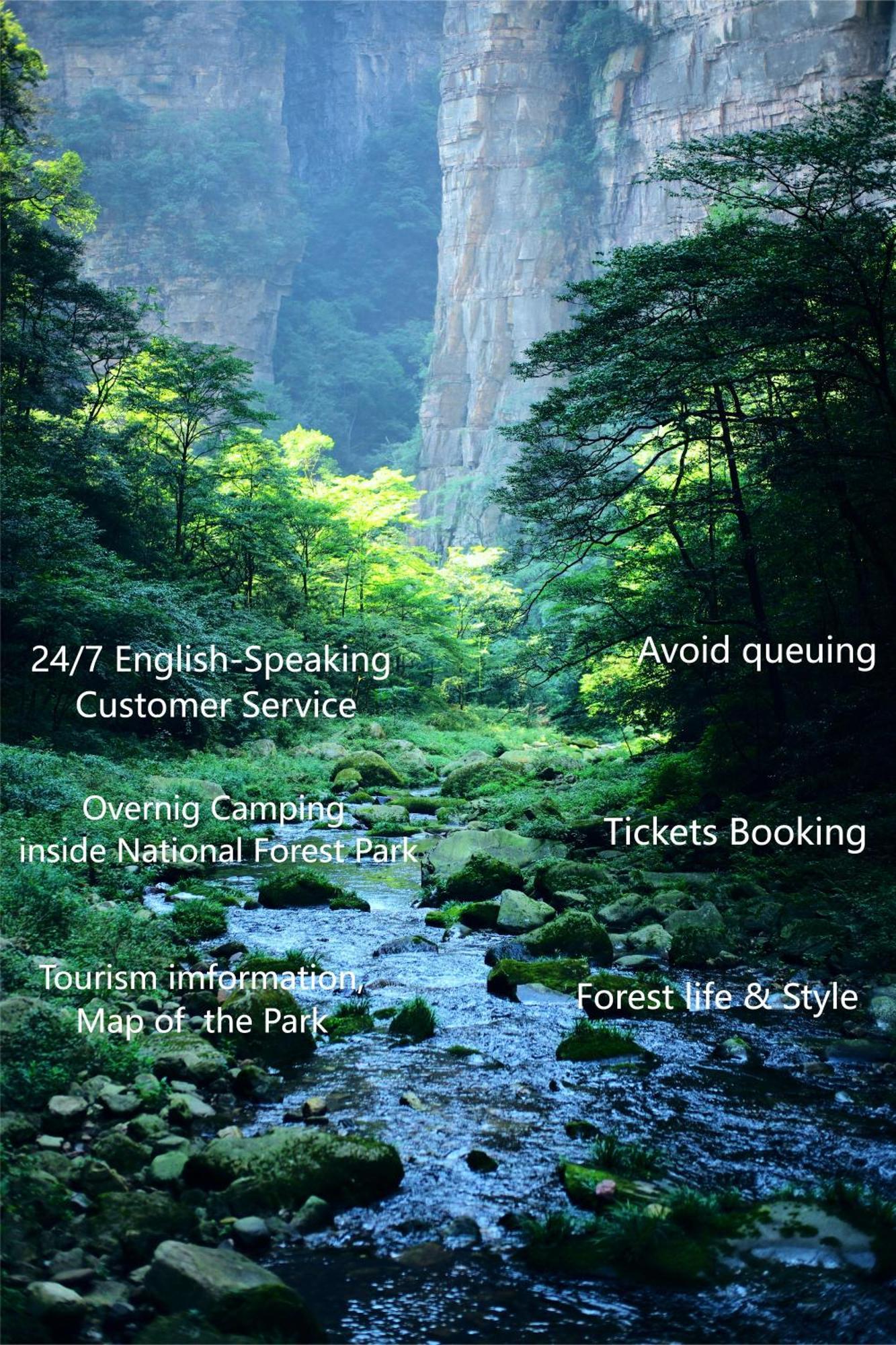 Zhangjiajie National Forest Park Camping Bagian luar foto