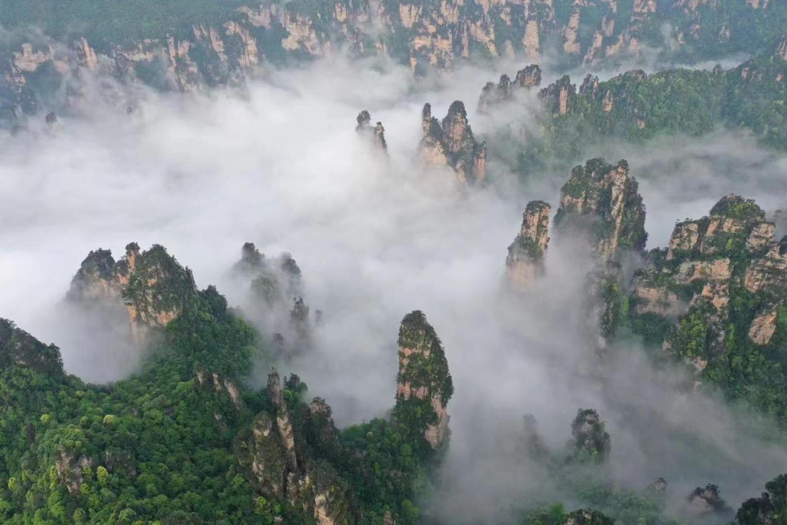 Zhangjiajie National Forest Park Camping Bagian luar foto